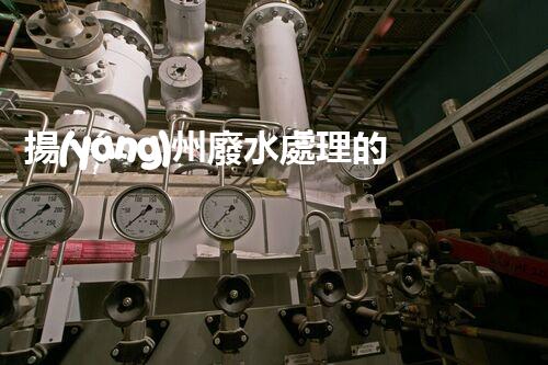 揚(yáng)州廢水處理的創(chuàng)新之路？揭秘這座古城的現(xiàn)代環(huán)保技術(shù)！